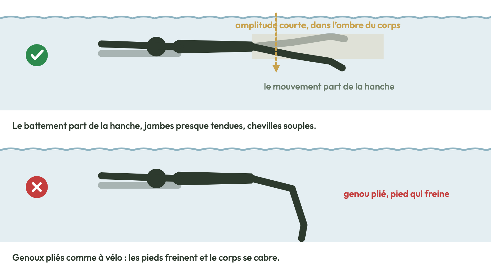 Battements : depuis la hanche, jambes presque tendues ; pas de genoux pliés.