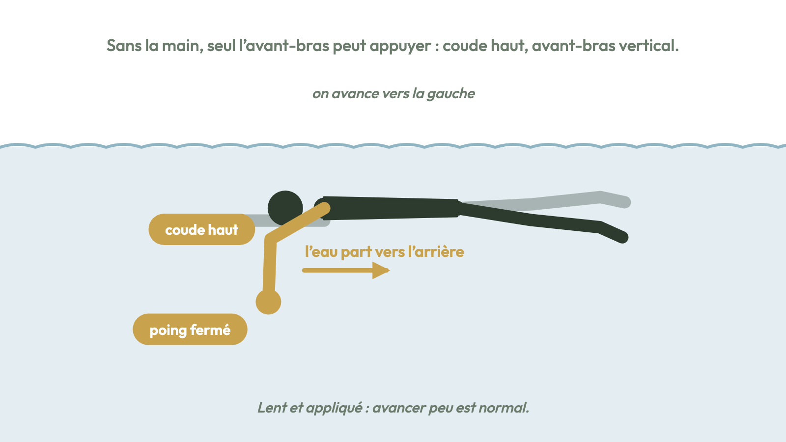 Poings fermés : coude haut, l'avant-bras pousse l'eau vers l'arrière.