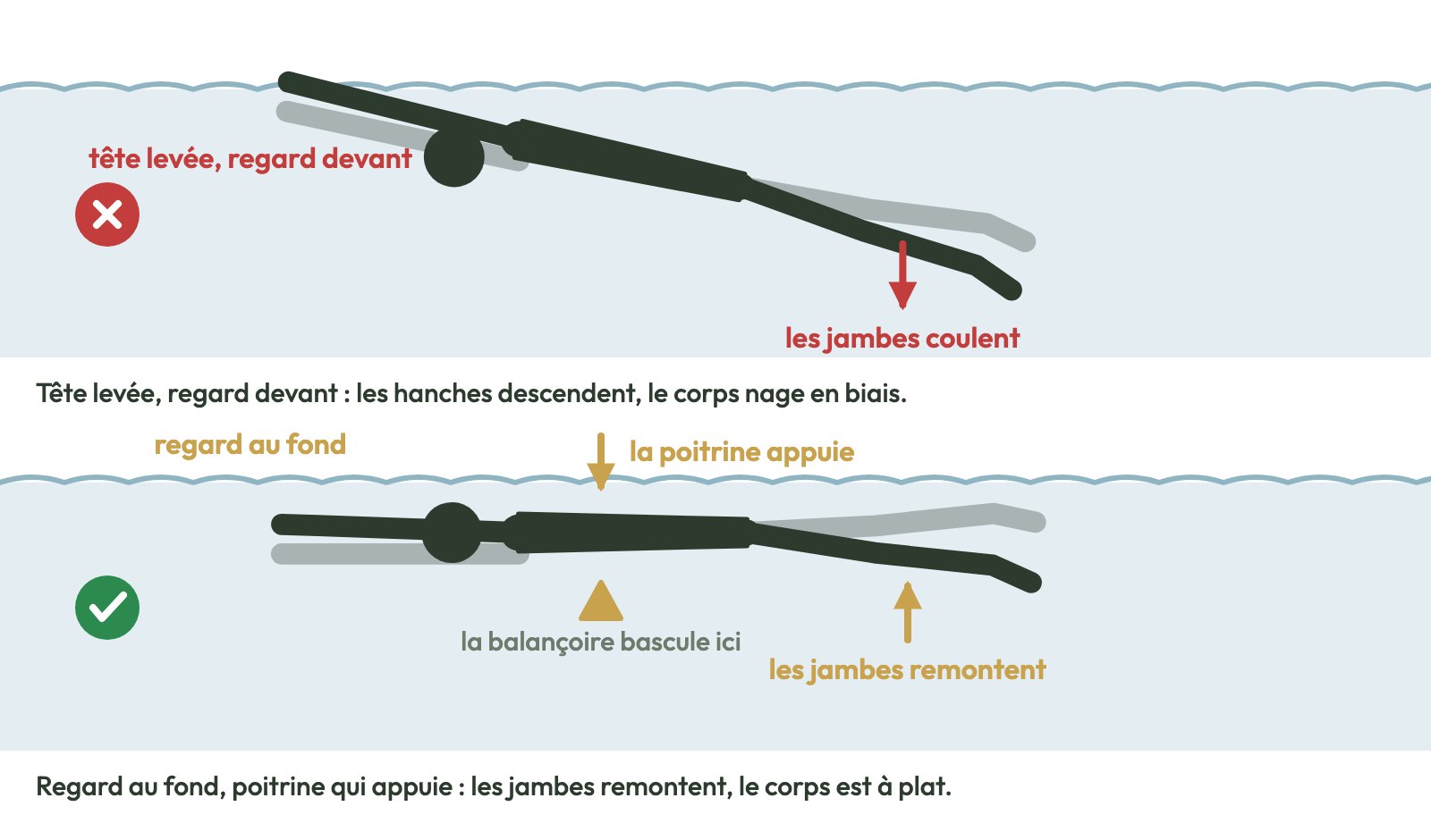 Tête levée, les jambes coulent ; regard au fond, le corps est à plat.